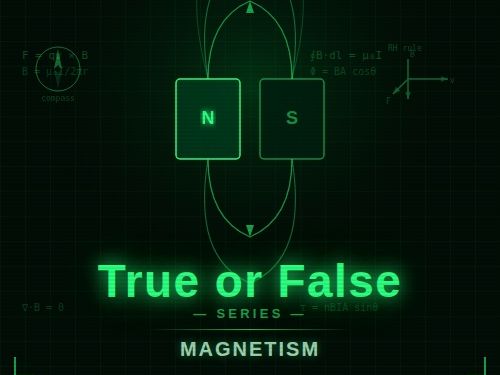 True/False/Correct it Magnetism Worksheet CCEA GCSE Physics