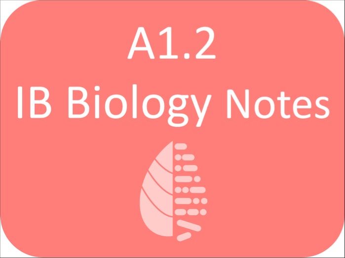 IB Biology A1.2 Nucleic Acids Notes SL/HL