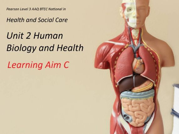 BTEC Level 3 AAQ National Health and Social Care Unit 2: Humann Biology and Health Learning Aim C.