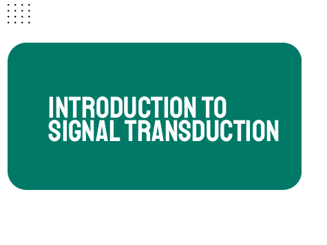 AP Biology Unit 4: Introduction to Signal Transduction