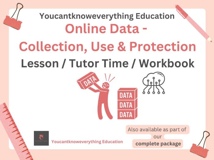 Online Data Collection PSHE Lesson