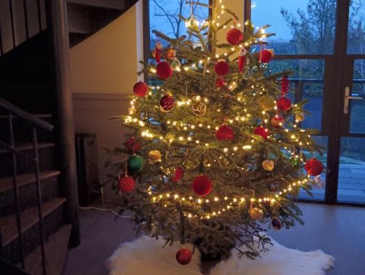 LES VACANCES DE NOEL