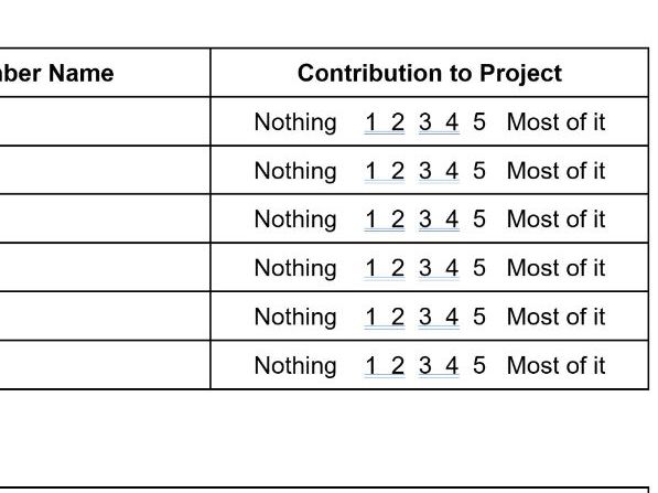 Peer Assessment Rubric