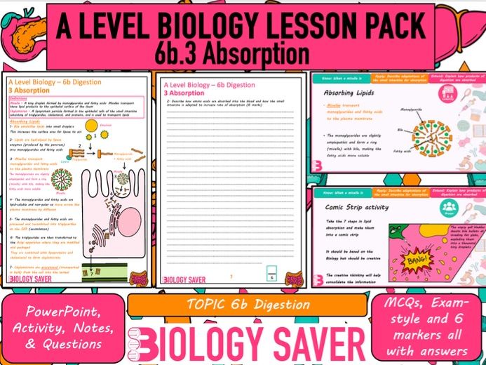 A Level Bio Lesson - 6b.3 Absorption