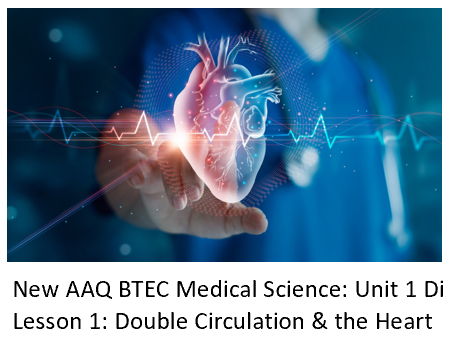 NEW: AAQ BTEC Medical Science Unit 1Di Cardiovascular System - Lesson 1: Double circulation & Heart