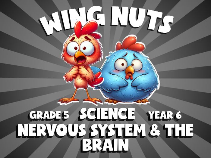 Nervous System & the Brain WING NUTS Science Game | No-Prep Year 6 Review Activity