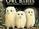 Owl Babies