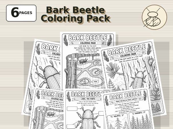Bark Beetle Coloring Pages | Forest Insect Science Pack for Kids (PreK-Grade 3)
