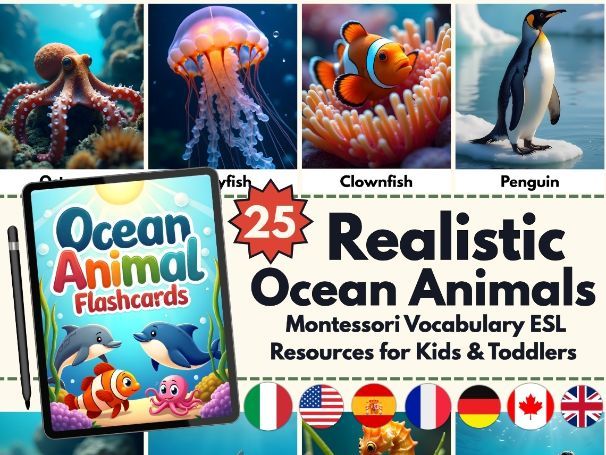 Realistic Ocean Animals Flashcards | 25 Sea Life Cards for Preschool, Kindergarten