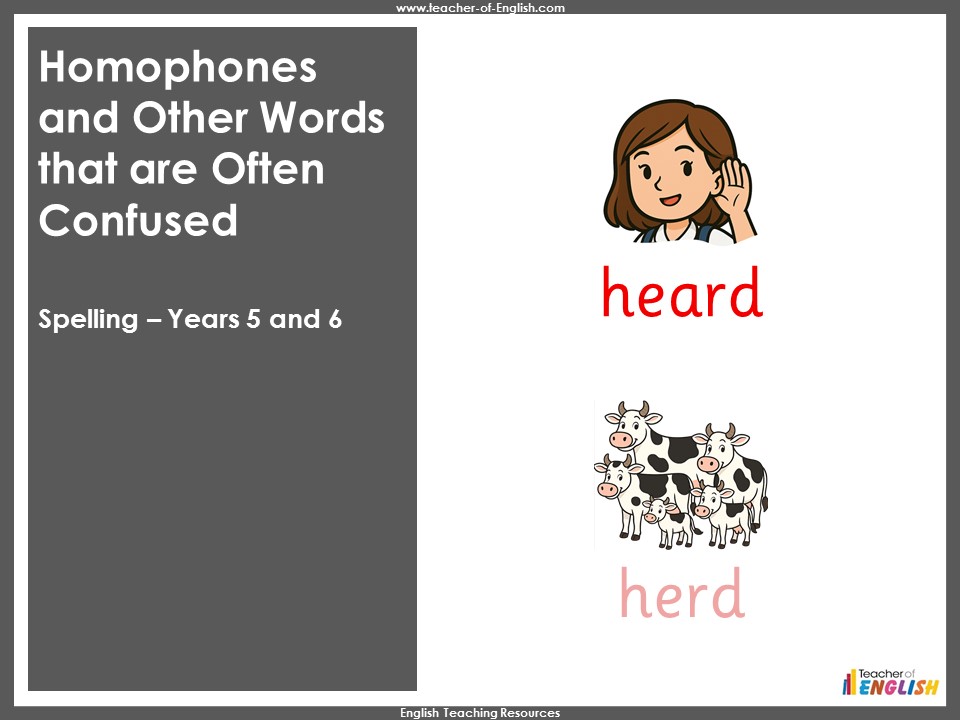 Homophones and Other Words that are Often Confused – KS2 Spelling Skills (Years 5 & 6)