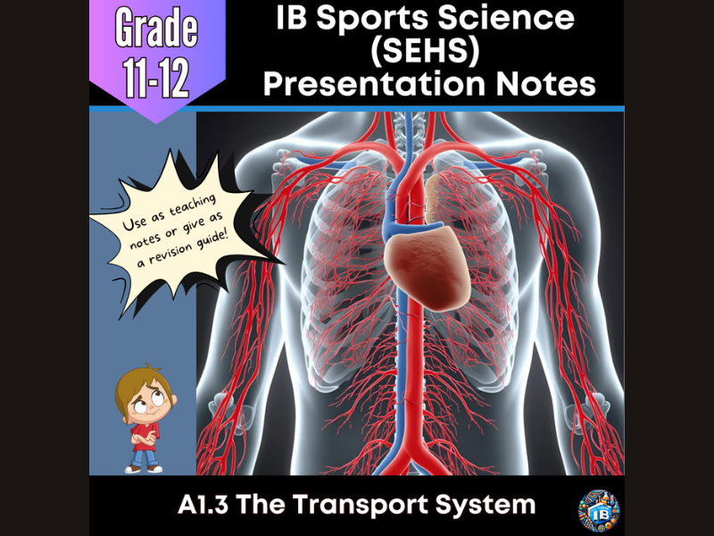 IB SEHS A1.3: The Transport System Teaching Notes & Revision Guide 2026