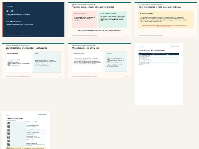 Performance Outcome 1 K1.16 Risk Prevention and Reduction Bundle