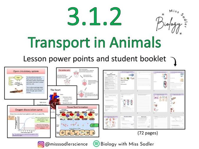 3.1.2 Transport in animals OCR A level Biology (12 -13 lessons)