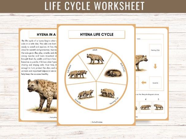 Hyena Life Cycle: African Savanna Mammal Animal Unit Study & Fun Facts!