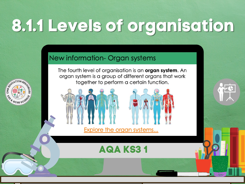 8.1.1 Levels of organisation Lesson bundle (AQA KS3 1) Teaching