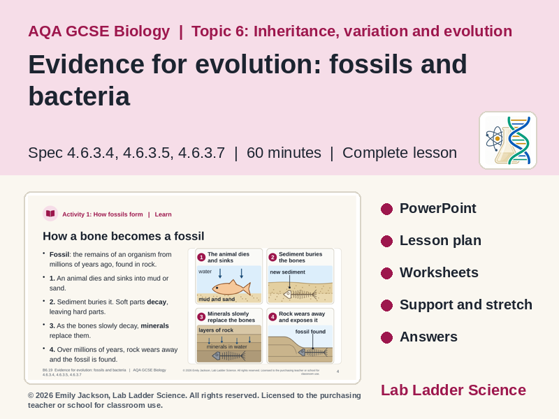 B6-19 Evidence for Evolution: AQA GCSE Biology