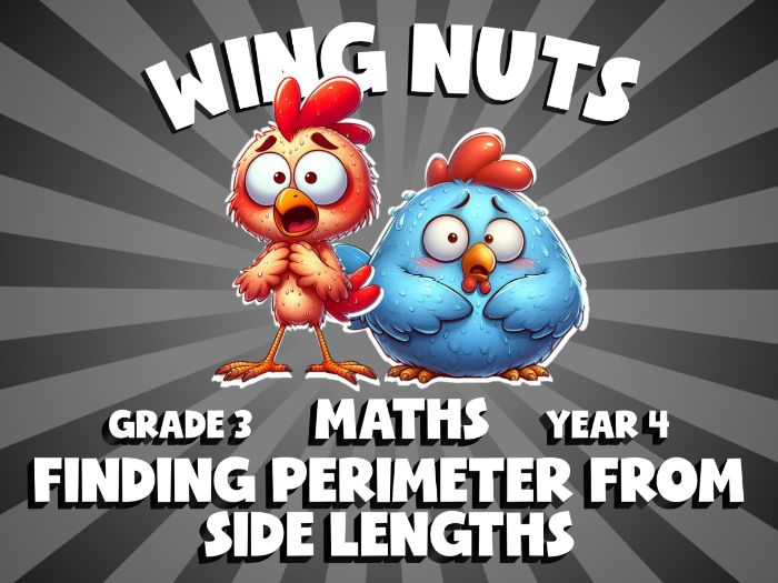 Finding Perimeter from Side Lengths WING NUTS Maths Game | No-Prep Year 4 Review Activity