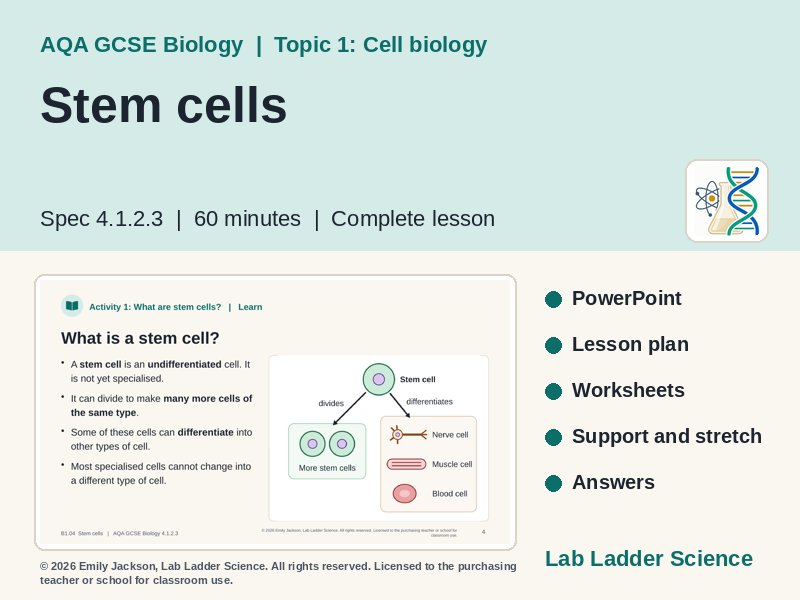 B1-04 Stem Cells & Cloning: AQA GCSE Biology