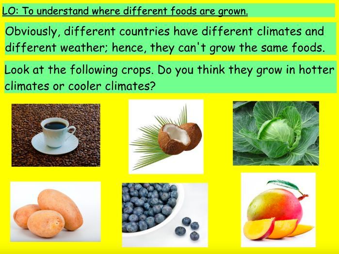 Where Our Food Comes From – Climate Zones & Crop Origins Geography Lesson (KS2)