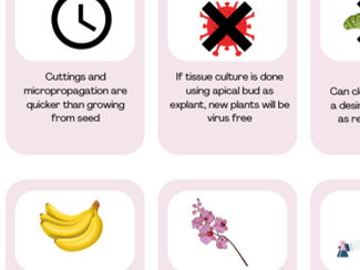 Plant cloning card sort
