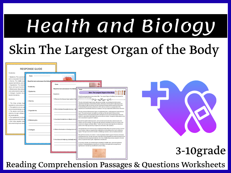 Skin: The Largest Organ of the Body Reading Comprehension Passages & Questions Worksheets