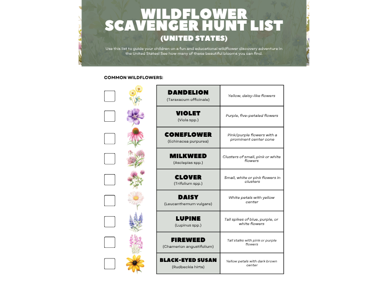 Wildflower scavenger hunt - USA version