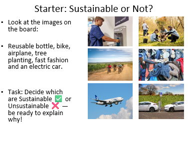 KS3: What Does Sustainability Mean?