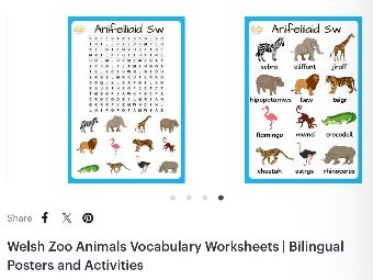 Welsh Zoo Animals Vocabulary Worksheets | Bilingual Posters and Activities