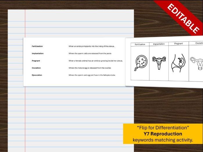 Y7 Getting Pregnant Reproduction Keywords
