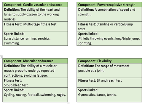 GCSE PE AQA 9-1 Components of fitness revision flash cards 