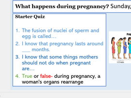 Year 7 What happens during pregnancy?