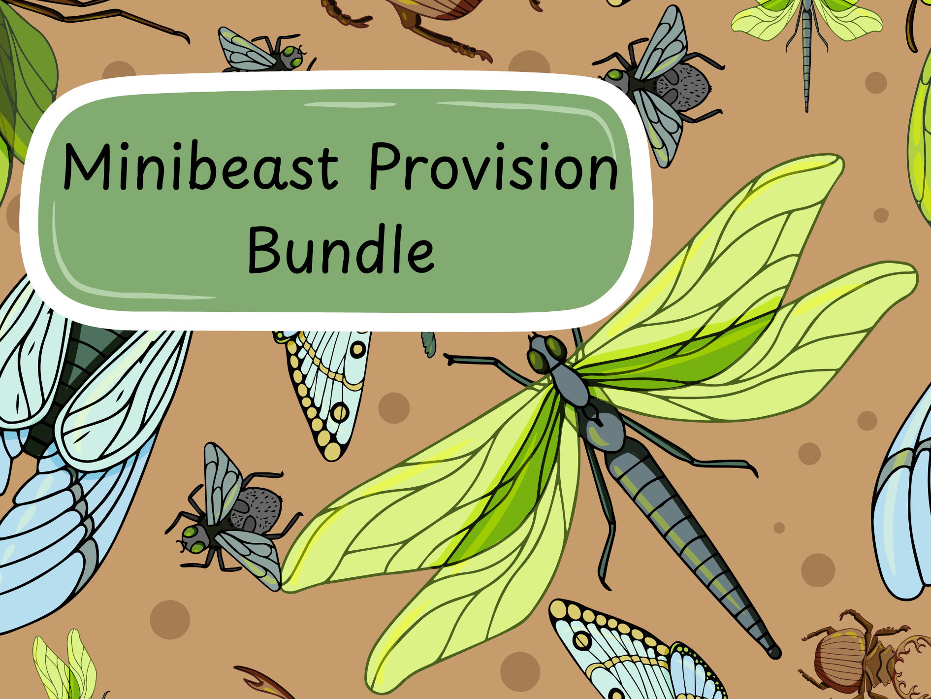 Minibeast Provision Bundle 20 Resources