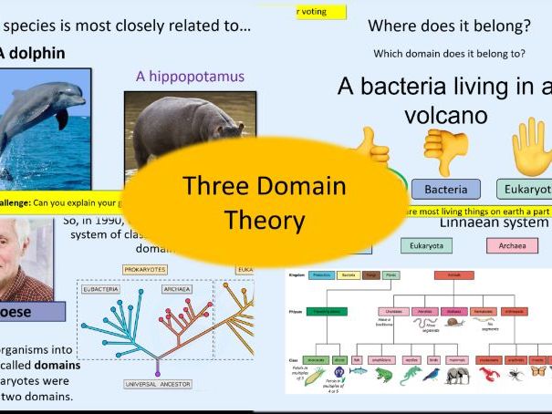 Three Domain Theory