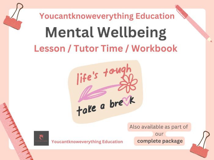 Mental Wellbeing PSHE Lesson 2026