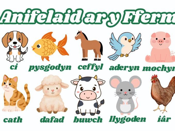 Anifelaid ar y Fferm