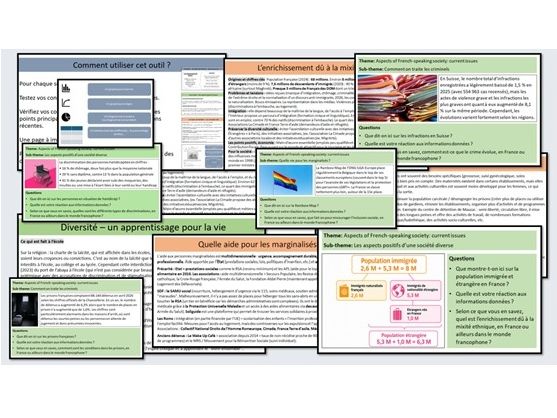 AQA A Level French – Bundle for THEME 3 (société diverse, marginalisés, criminels) FULL TOPICS!