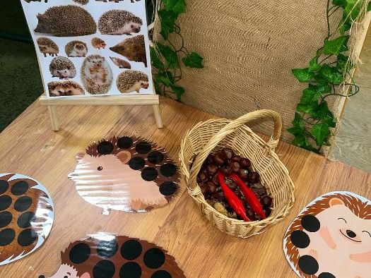 Hungry Hedgehogs Loose Parts / Fine Motor