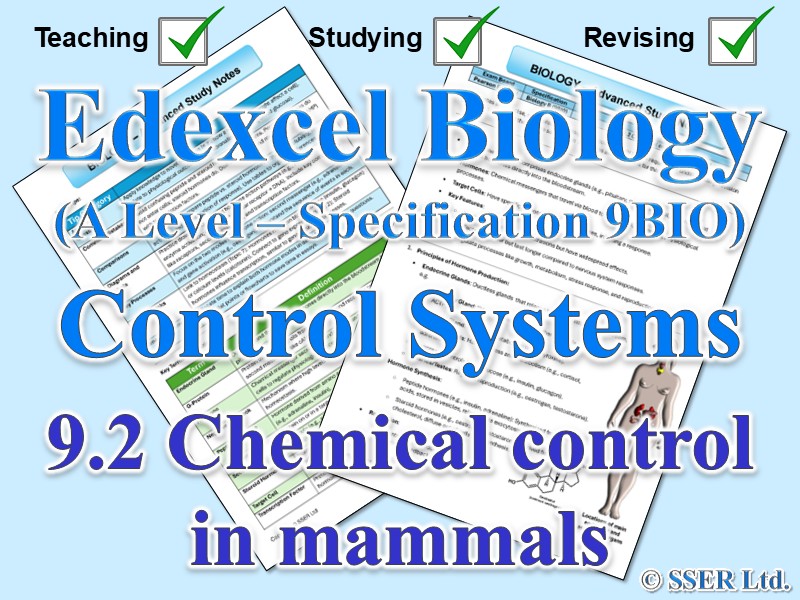 BIOA_EDX Topic Notes: 9.2 Chemical control in mammals