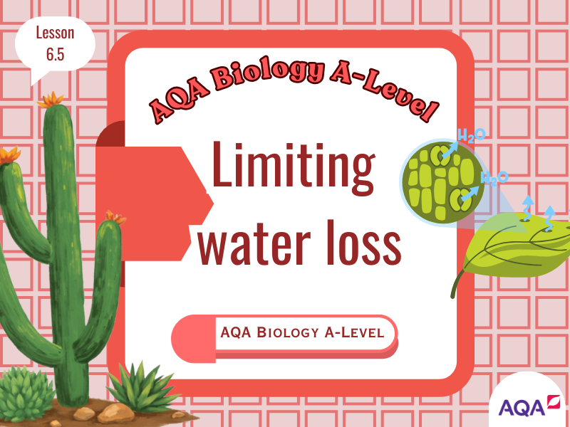 AQA A-Level Biology – 6.5 Limiting Water Loss (Specification 3.3.2)