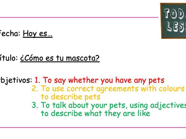 KS3 Spanish Viva 1 - Mi vida L9: ¿Cómo es? (PPT Lesson)