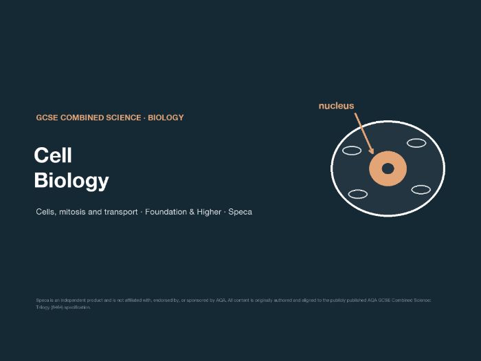 Cell biology: complete AQA GCSE Combined Science bundle