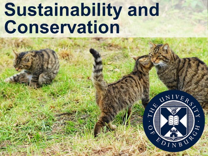 Sustainability and Conservation (Interdisciplinary Learning)