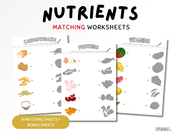 Nutrients Matching Activity Food Worksheets Fun Children Primary Nutrition Kids Food Facts Fruit