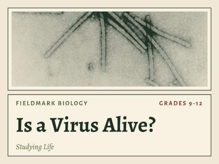 Characteristics of Life Biology Lesson: Is a Virus Alive Activity