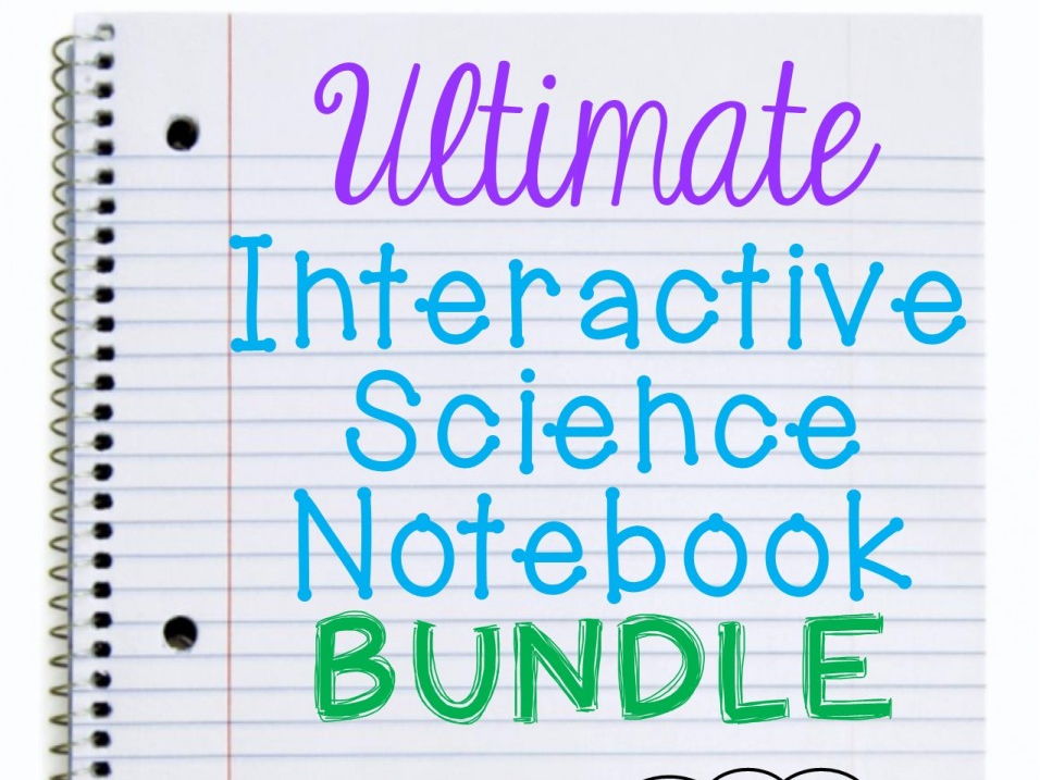 interactive notebook