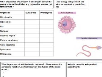 Edexcel A level Biology Topic 3 - Voice of the Geneome Revision Placemats/Mindmaps