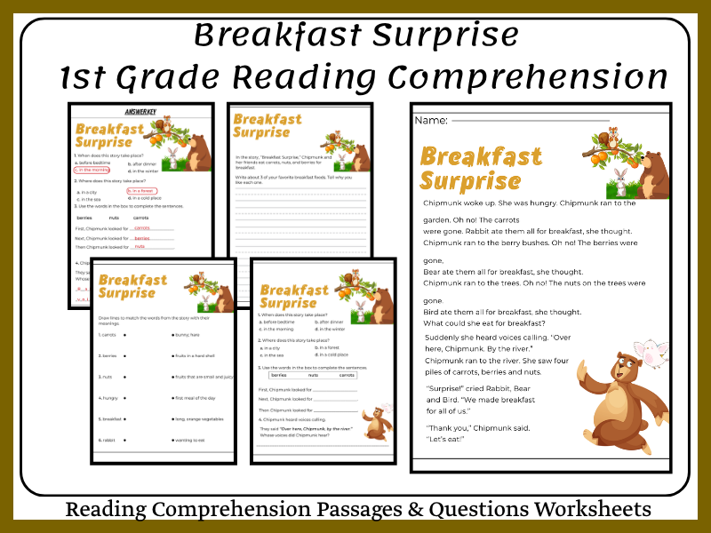 1st Grade Reading Comprehension Passages & Questions Worksheets