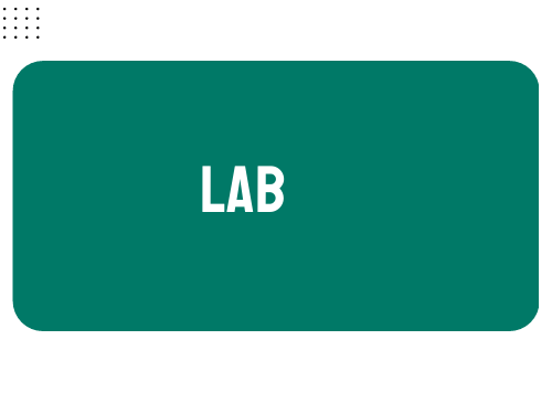 AP Biology Unit 6: LAB-DNA Extraction