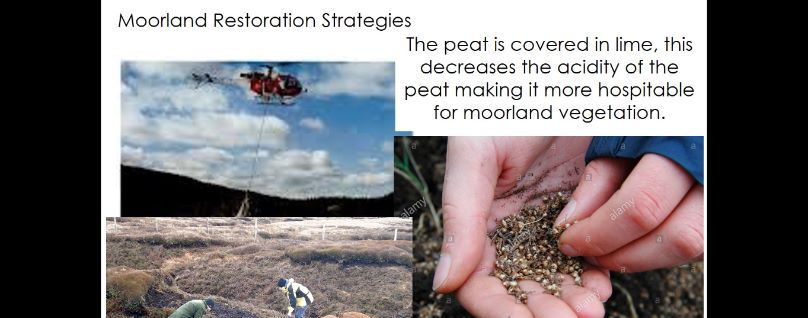 GCSE Geography - Management of ecosystems, UK Moorland (Wetland) focus