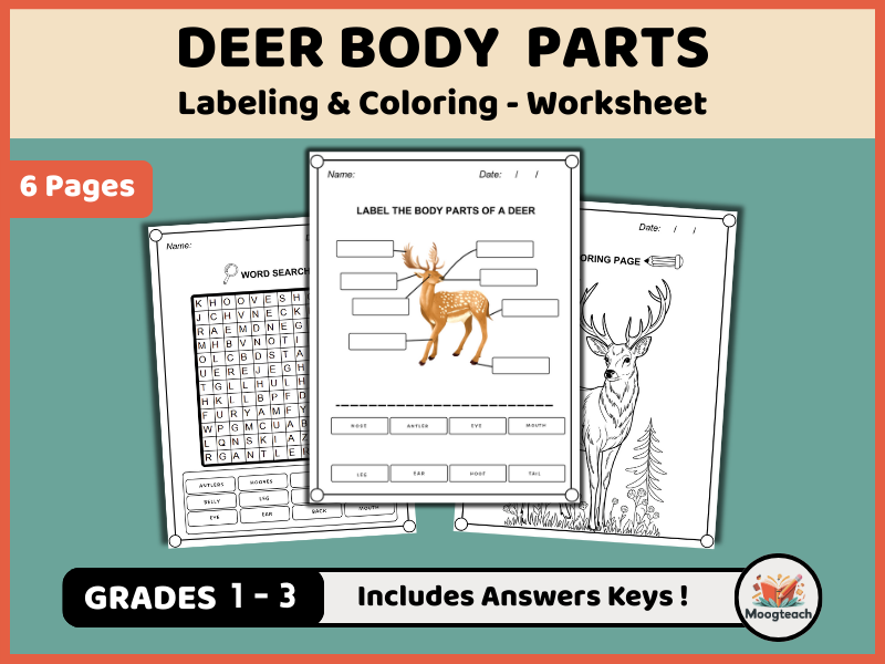 Deer Body Parts / Animal Anatomy / Labeling / Coloring Worksheet / Woodland Animals / EYFS / KS1